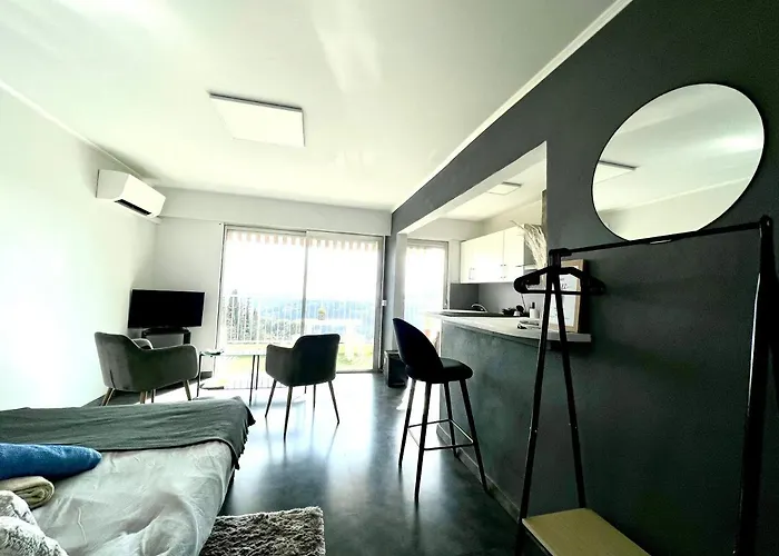 Le View, Climatise Vue Panoramique, Parking Gratuit, Wifi Μεντόν